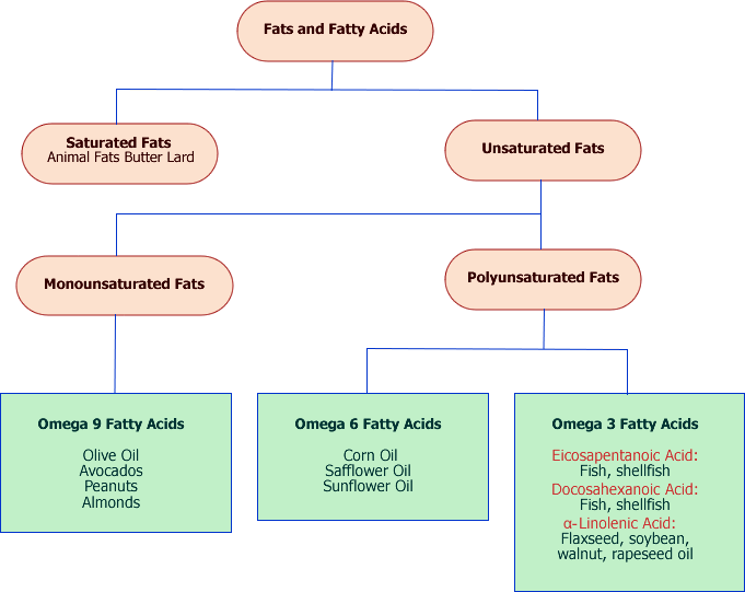 Fatty Acids Diagram