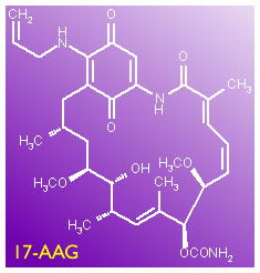 17AAG molecule