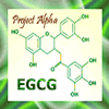 EGCG molecule