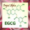 EGCG molecule