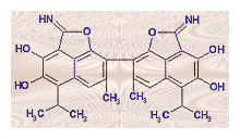 Gossypol molecule