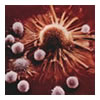 Killer T-cells