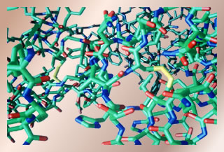 model molecule