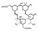 Bryostatin molecule
