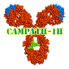Campath molecule