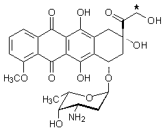 doxorubicin molecule