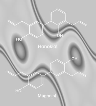 Honokiol & Magnolol Structures