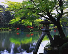 oriental garden pond