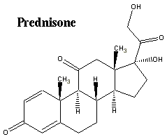 Prednisone molecule